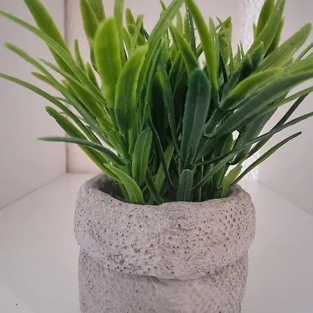 At K&d 16, Pool, Netflix Apartmán *