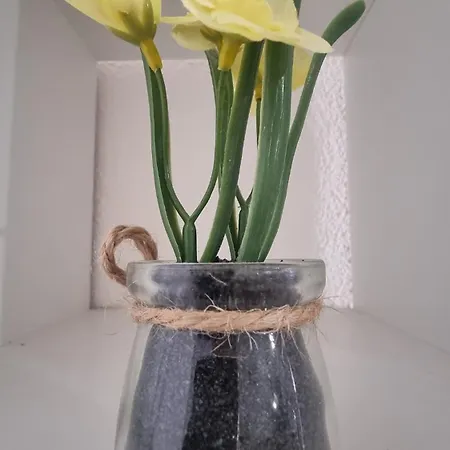 At K&d 16, Pool, Netflix Apartmán *