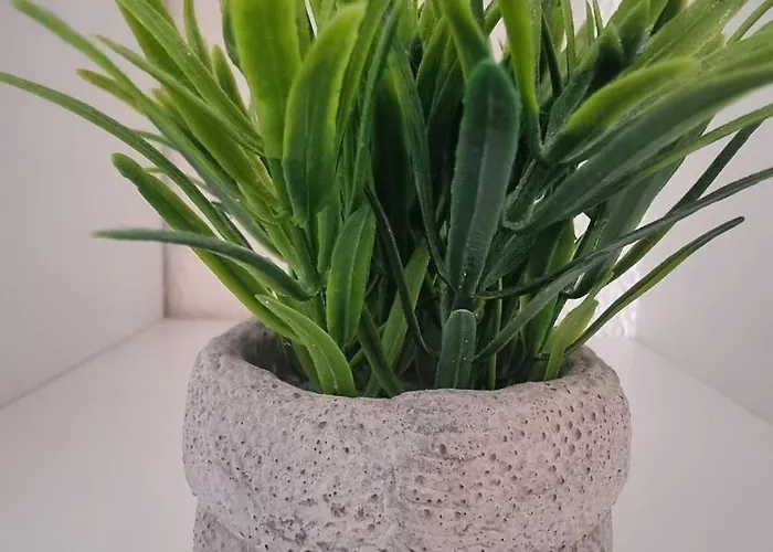 At K&d 16, Pool, Netflix Appartamento *