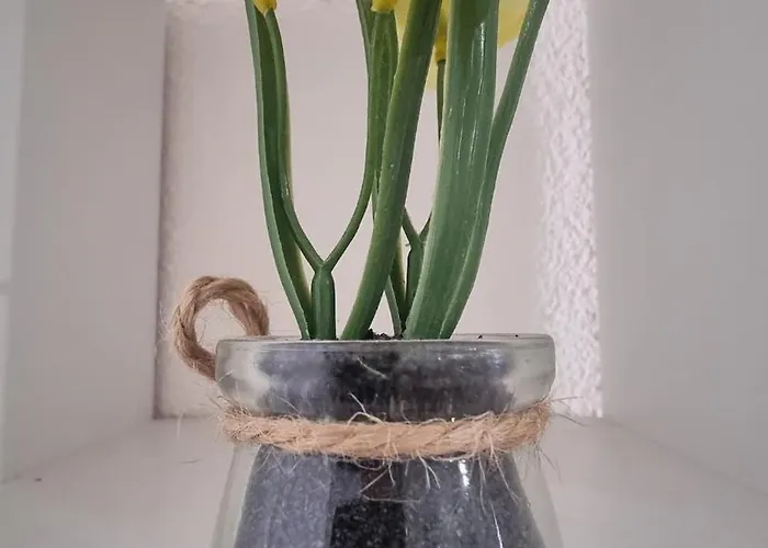 At K&d 16, Pool, Netflix Appartamento *